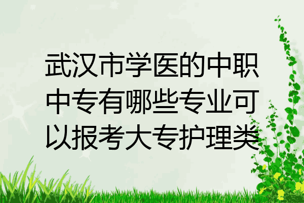 武汉市学医的中职中专有哪些专业可以报考大专护理类