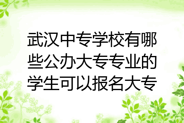 武汉中专学校有哪些公办大专专业的学生可以报名大专