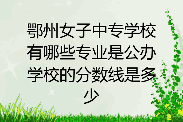 鄂州女子中专学校有哪些专业是公办学校的分数线是多少