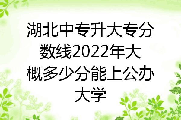 湖北中专升大专分数线2022年大概多少分能上公办大学