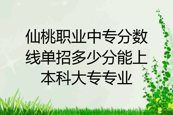 仙桃职业中专分数线单招多少分能上本科大专专业