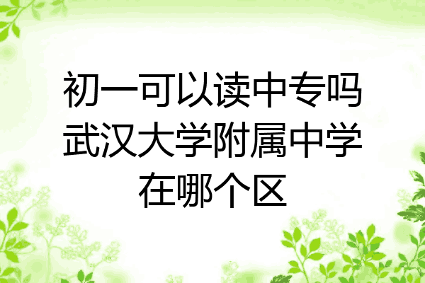 初一可以读中专吗武汉大学附属中学在哪个区