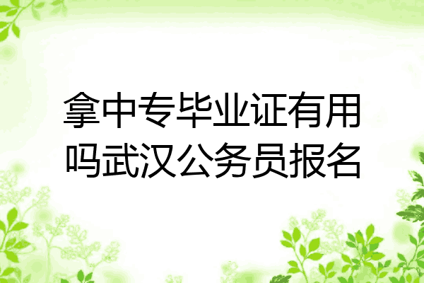 拿中专毕业证有用吗武汉公务员报名