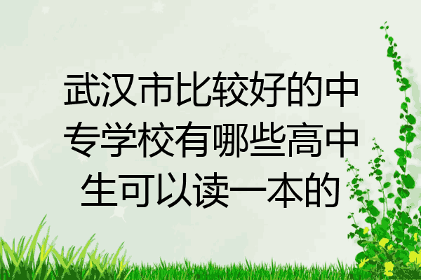 武汉市比较好的中专学校有哪些高中生可以读一本的
