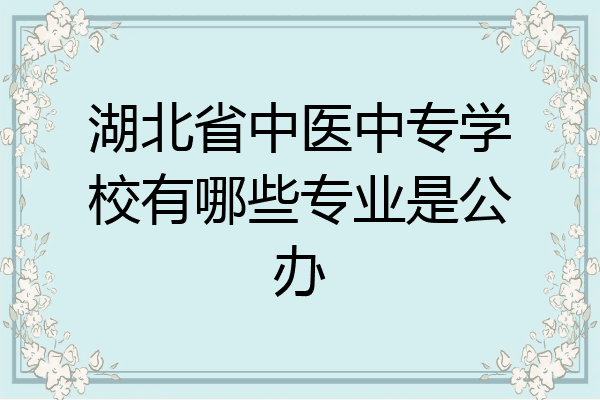 湖北省中医中专学校有哪些专业是公办