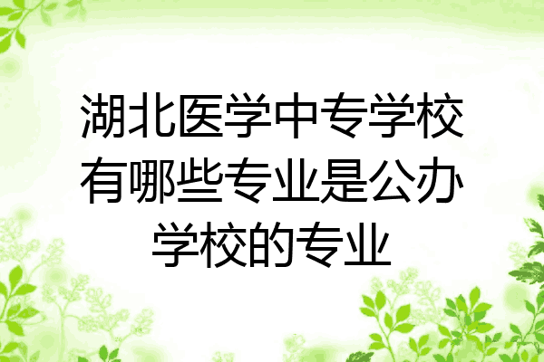 湖北医学中专学校有哪些专业是公办学校的专业