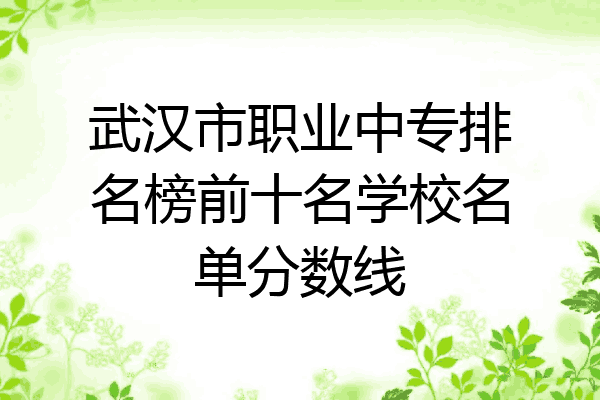 武汉市职业中专排名榜前十名学校名单分数线