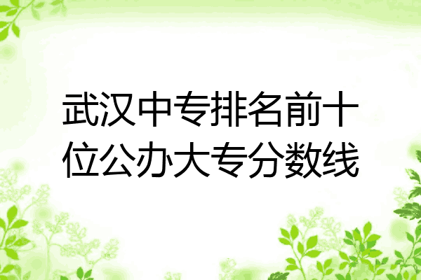 武汉中专排名前十位公办大专分数线