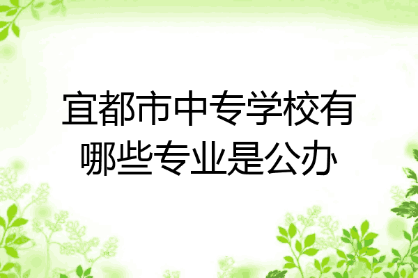 宜都市中专学校有哪些专业是公办