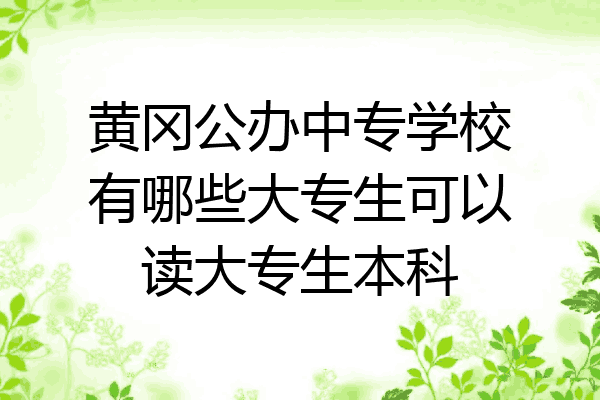 黄冈公办中专学校有哪些大专生可以读大专生本科