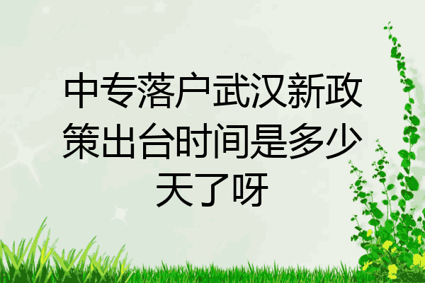 中专落户武汉新政策出台时间是多少天了呀