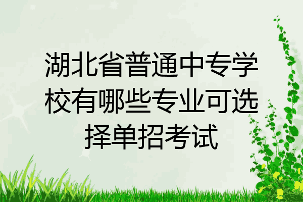 湖北省普通中专学校有哪些专业可选择单招考试