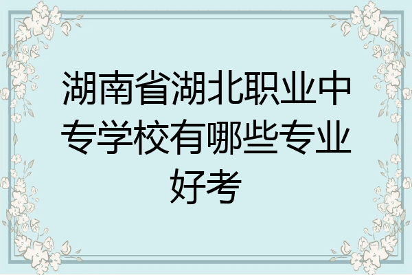 湖南省湖北职业中专学校有哪些专业好考