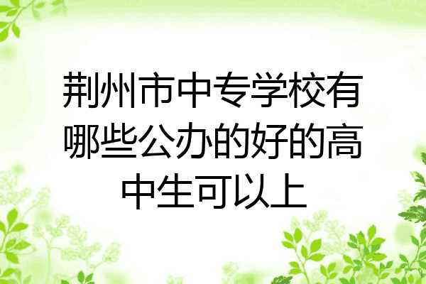 荆州市中专学校有哪些公办的好的高中生可以上