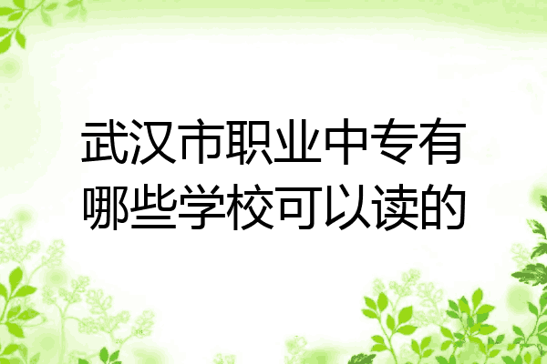 武汉市职业中专有哪些学校可以读的