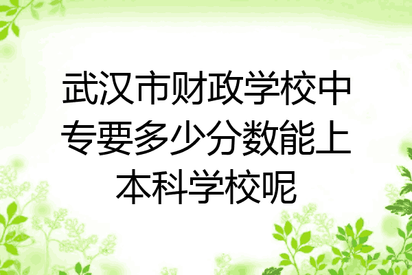 武汉市财政学校中专要多少分数能上本科学校呢