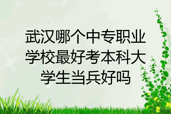武汉哪个中专职业学校最好考本科大学生当兵好吗