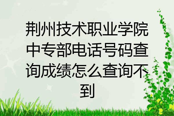 荆州技术职业学院中专部电话号码查询成绩怎么查询不到