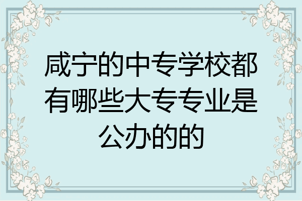 咸宁的中专学校都有哪些大专专业是公办的的
