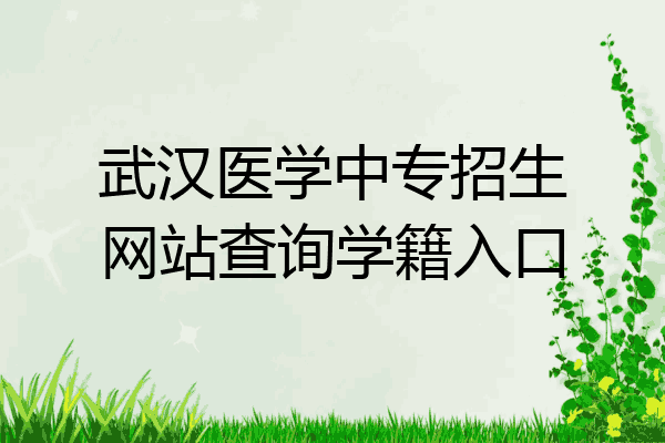 武汉医学中专招生网站查询学籍入口
