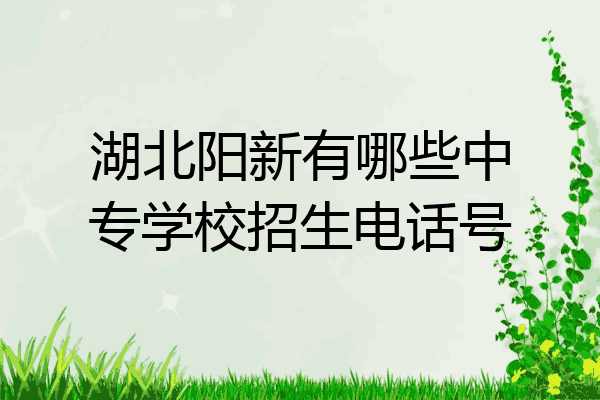 湖北阳新有哪些中专学校招生电话号