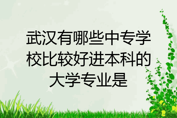 武汉有哪些中专学校比较好进本科的大学专业是