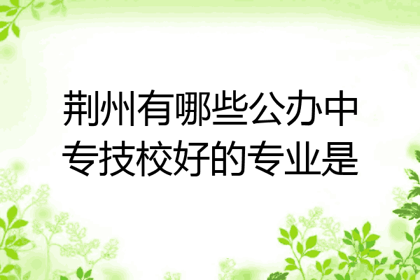 荆州有哪些公办中专技校好的专业是