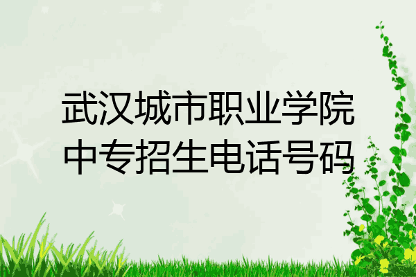 武汉城市职业学院中专招生电话号码