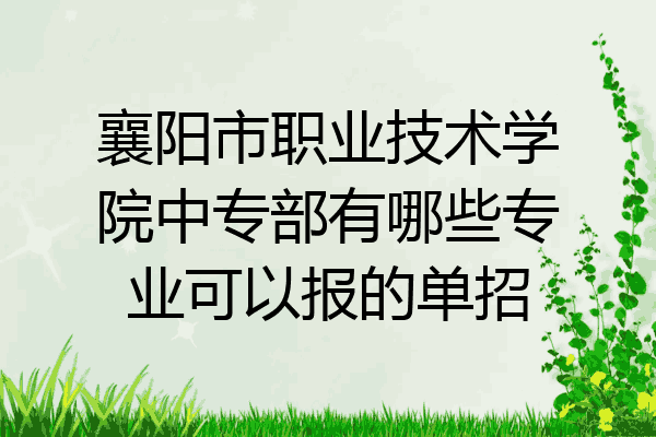 襄阳市职业技术学院中专部有哪些专业可以报的单招