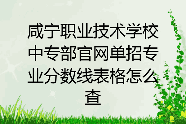 咸宁职业技术学校中专部官网单招专业分数线表格怎么查