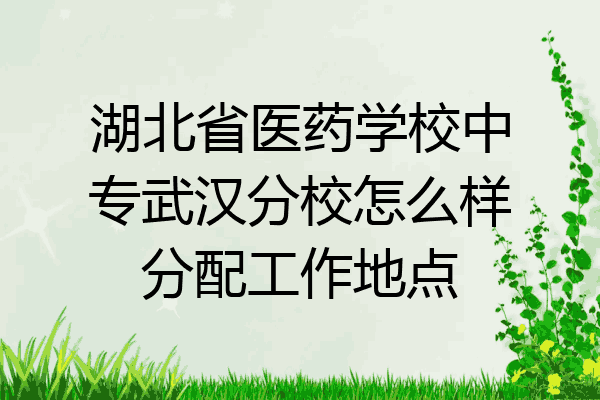 湖北省医药学校中专武汉分校怎么样分配工作地点
