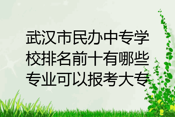 武汉市民办中专学校排名前十有哪些专业可以报考大专