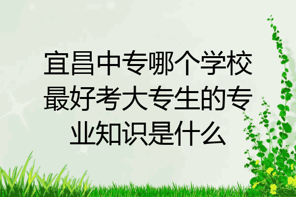 宜昌中专哪个学校最好考大专生的专业知识是什么