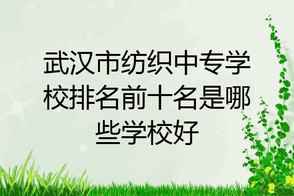 武汉市纺织中专学校排名前十名是哪些学校好
