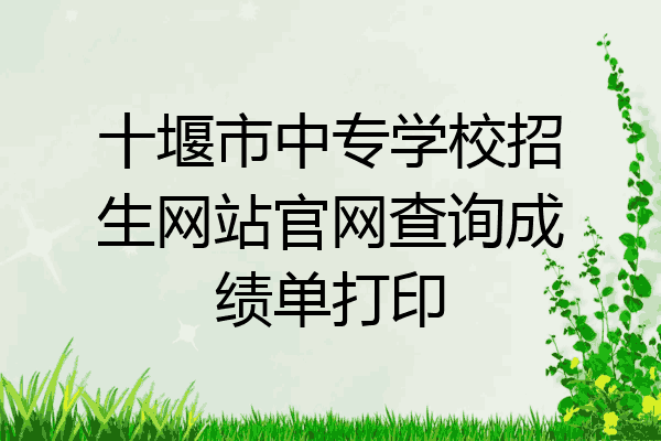 十堰市中专学校招生网站官网查询成绩单打印