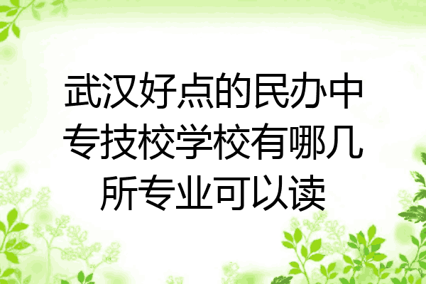 武汉好点的民办中专技校学校有哪几所专业可以读