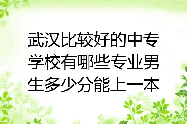 武汉比较好的中专学校有哪些专业男生多少分能上一本