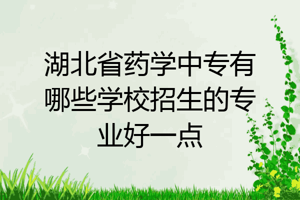 湖北省药学中专有哪些学校招生的专业好一点