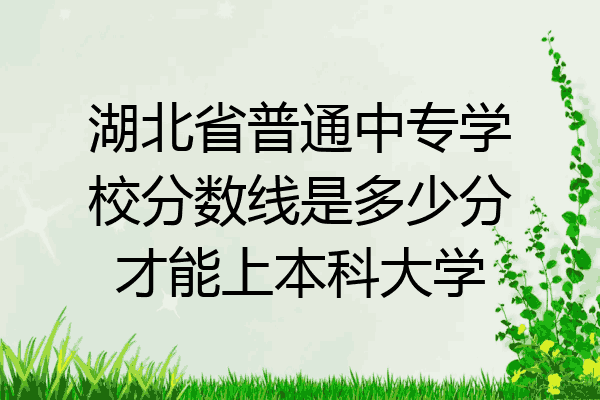湖北省普通中专学校分数线是多少分才能上本科大学