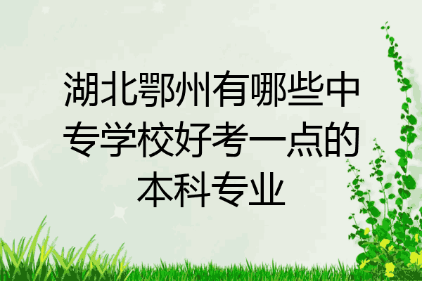 湖北鄂州有哪些中专学校好考一点的本科专业
