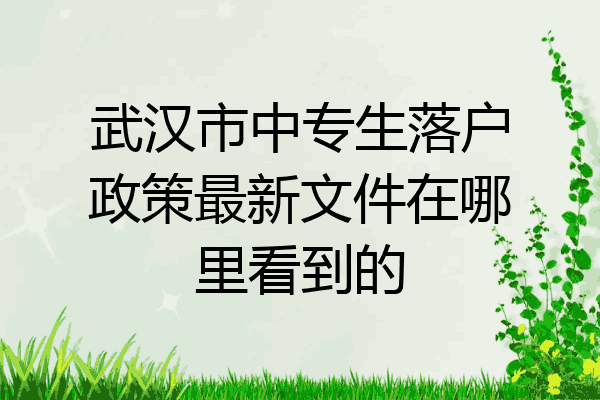 武汉市中专生落户政策最新文件在哪里看到的