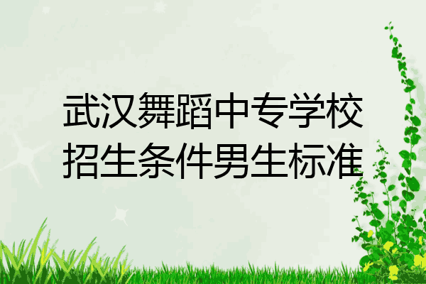 武汉舞蹈中专学校招生条件男生标准