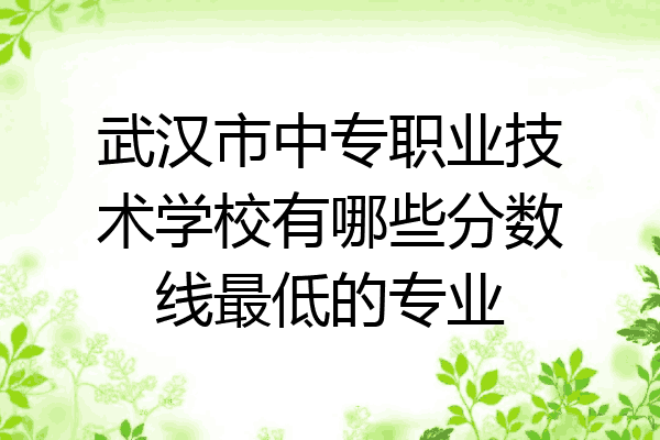 武汉市中专职业技术学校有哪些分数线最低的专业