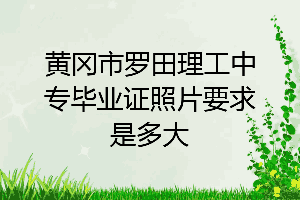 黄冈市罗田理工中专毕业证照片要求是多大