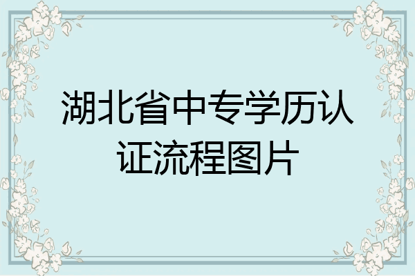 湖北省中专学历认证流程图片