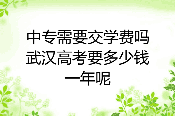 中专需要交学费吗武汉高考要多少钱一年呢