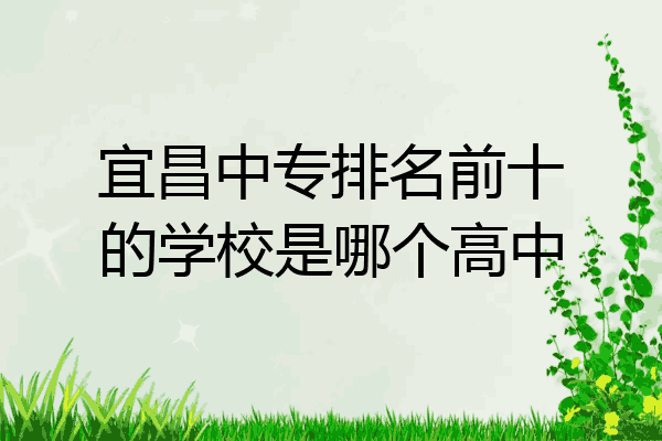 宜昌中专排名前十的学校是哪个高中