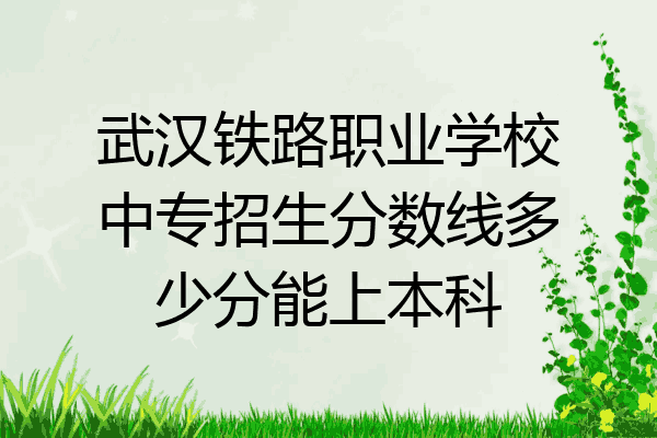 武汉铁路职业学校中专招生分数线多少分能上本科