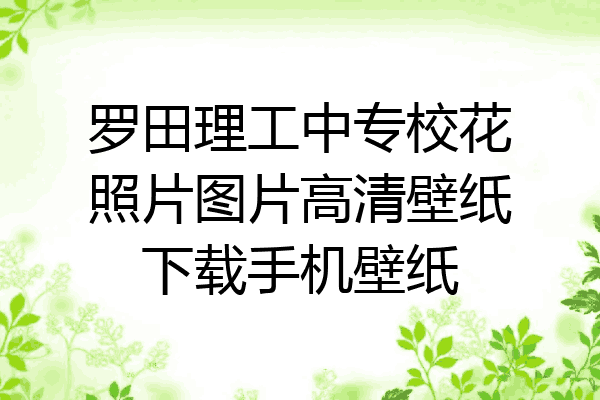 罗田理工中专校花照片图片高清壁纸下载手机壁纸