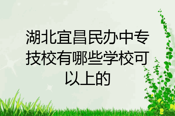 湖北宜昌民办中专技校有哪些学校可以上的